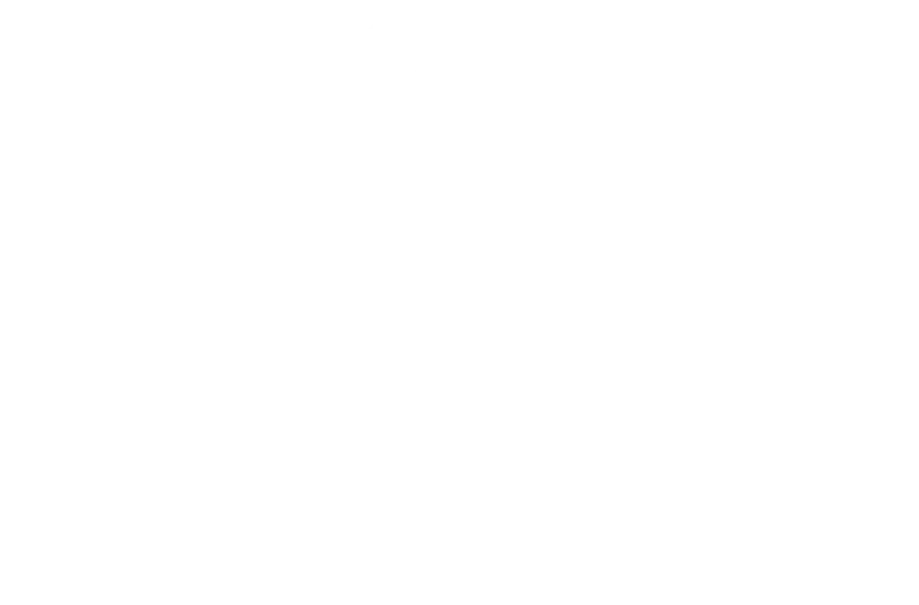 logo branca completa